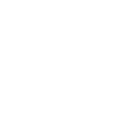 專業(yè)在線指導(dǎo)